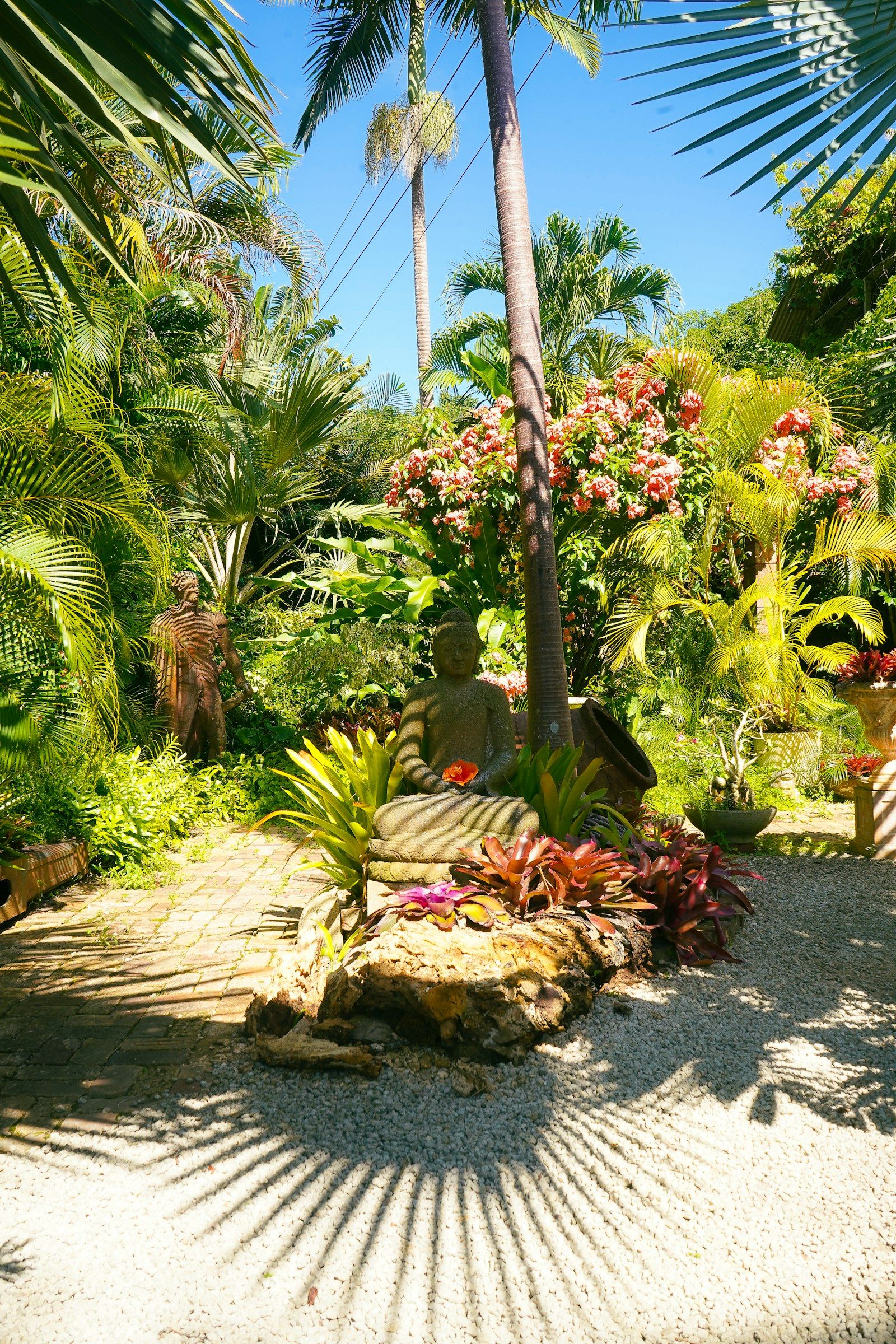 Stand-in Unsplash photo of a landscaped tropical garden with palms and flowering shrubs