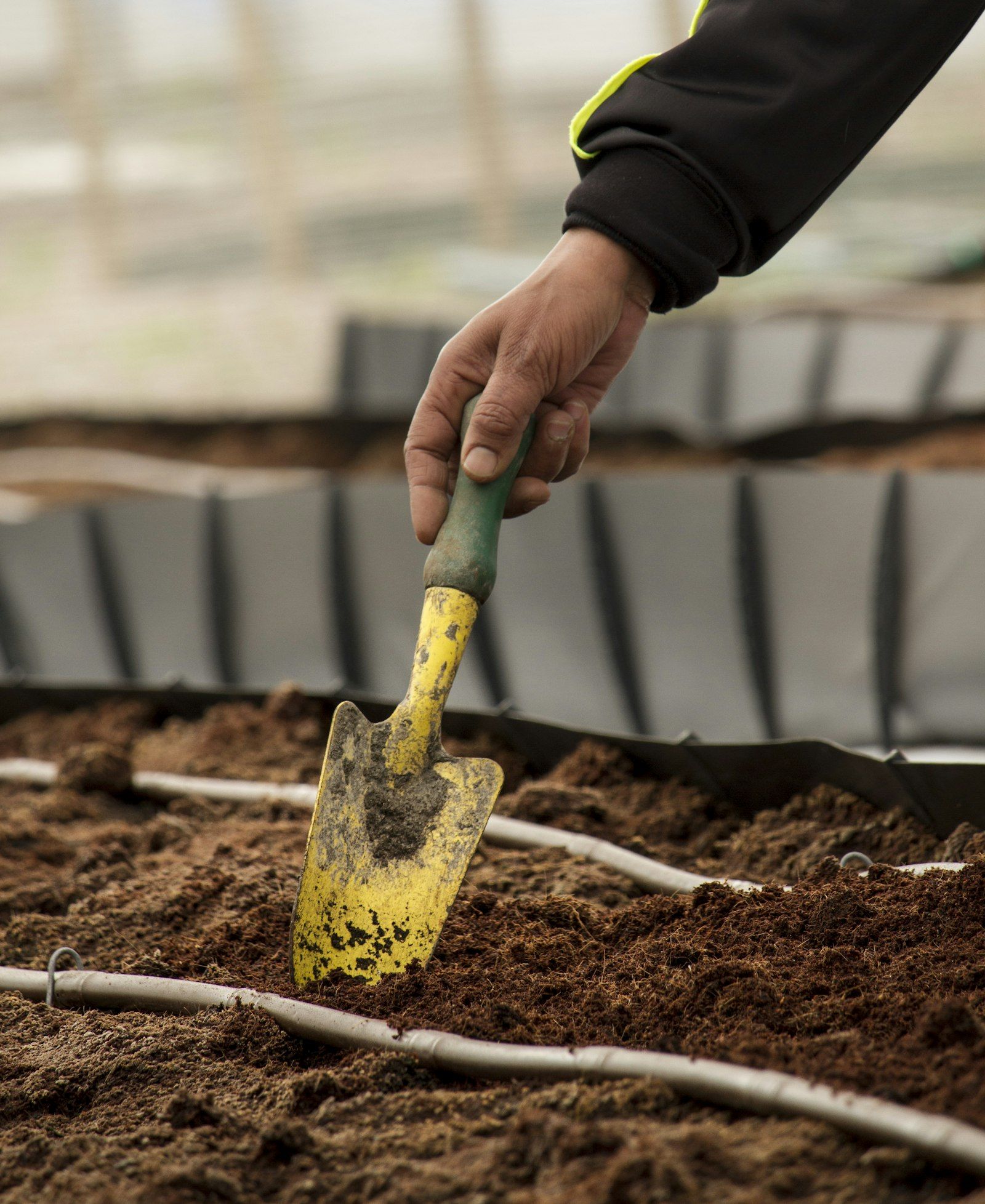 Stand-in Unsplash photo of a hand planting with a trowel in fresh soil
